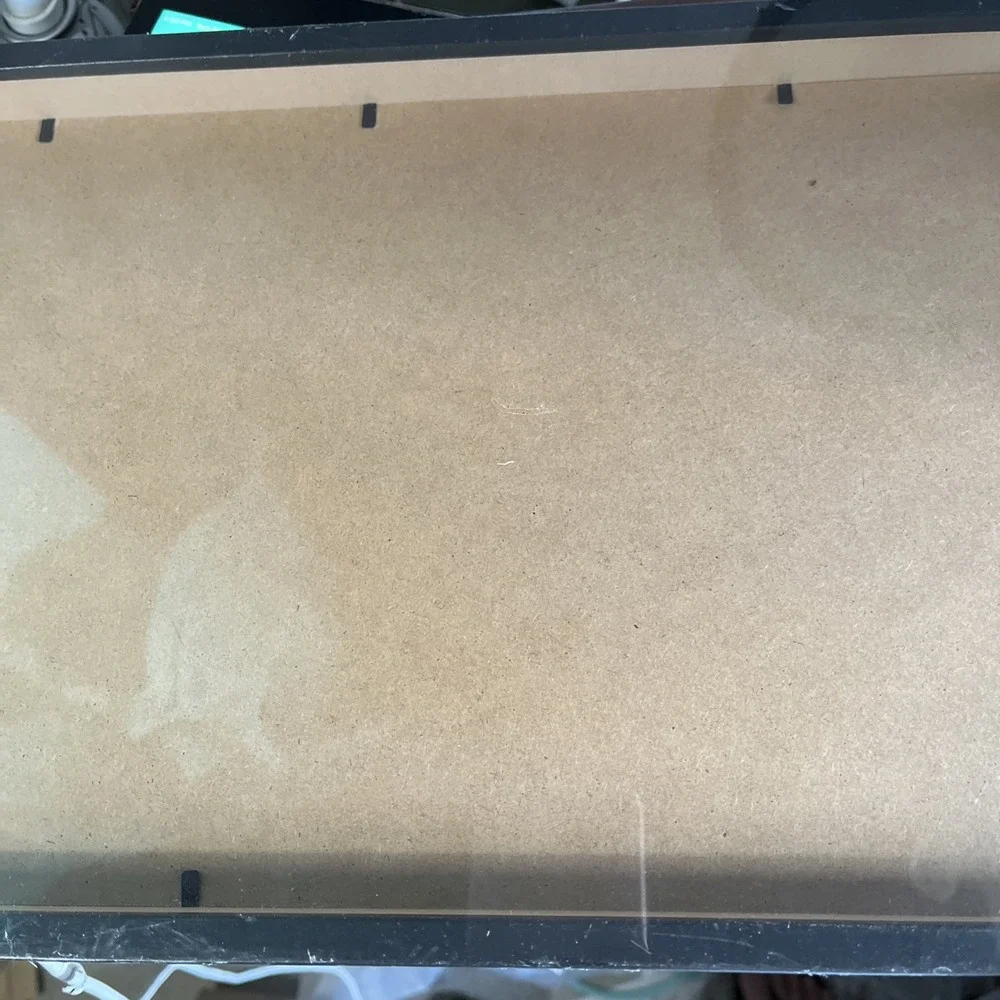 IKEA ribba picture